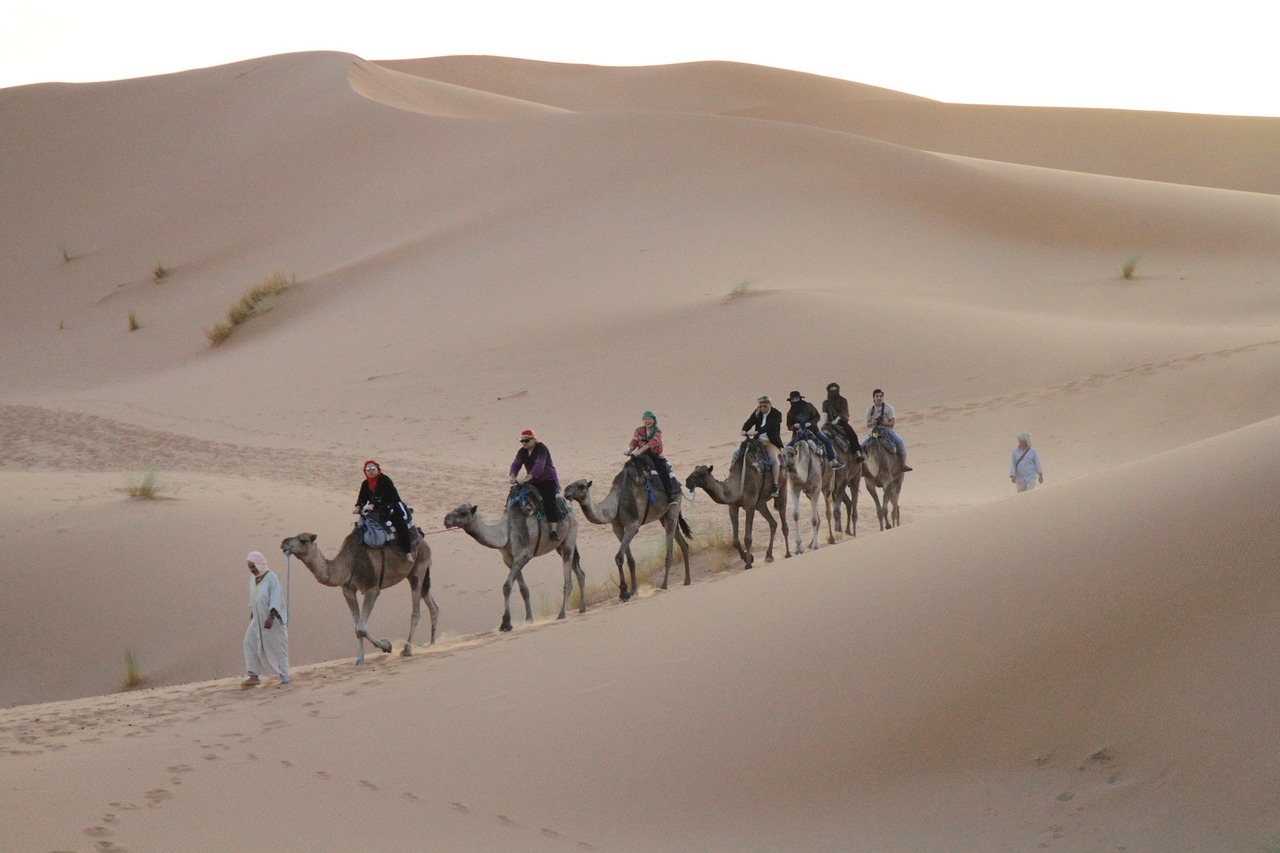 desert, sahara, nature, moroccan